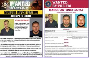 WhatsApp Image 2023-05-23 at 9.34.15 AM