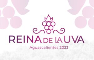 WhatsApp Image 2023-07-20 at 4.51.09 PM (1)