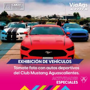 WhatsApp Image 2023-07-27 at 2.57.01 PM