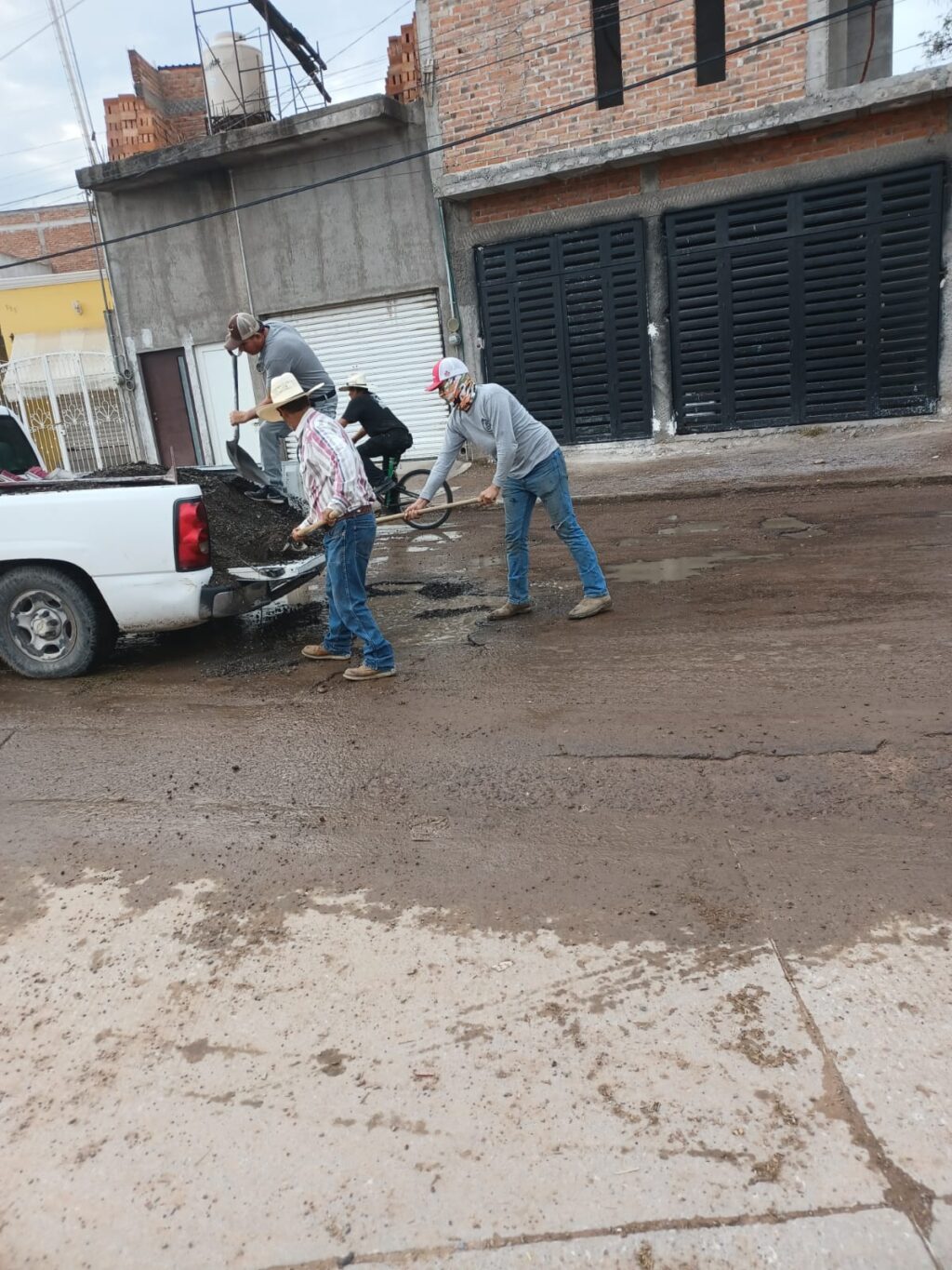 Bacheo Cuervero