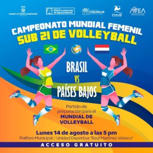 campeonato mundial volley