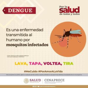 aguas con el dengue