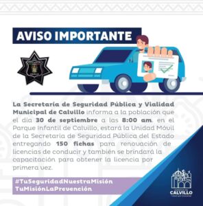 drive licence calvillo