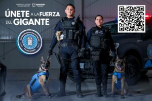 WhatsApp Image 2023-11-08 at 1.32.45 PM (1)