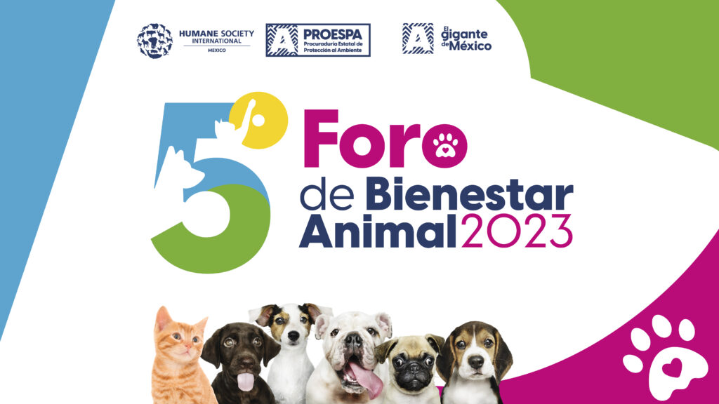 fondo pantalla proespa-01