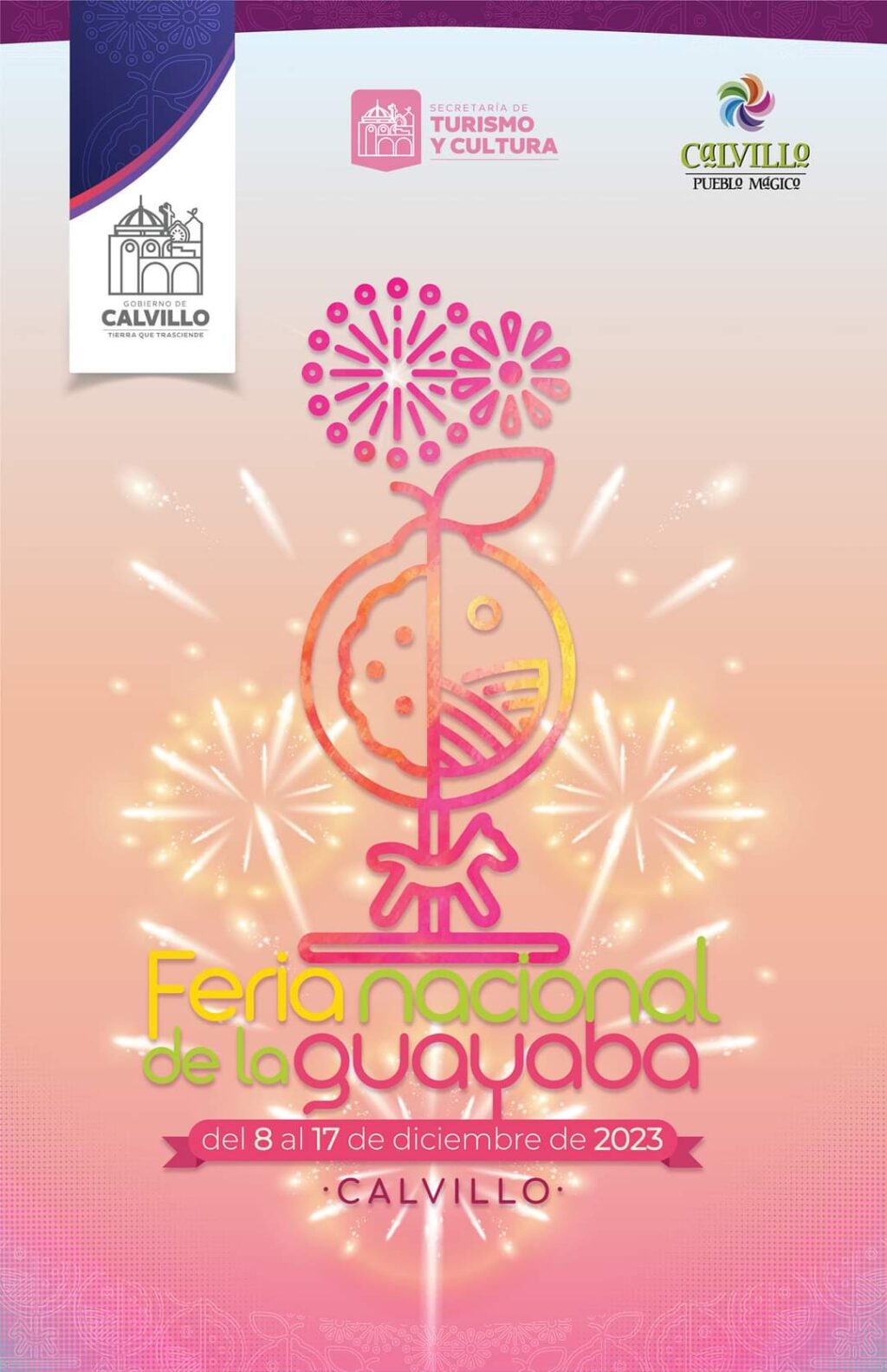 programa general fng Calvillo