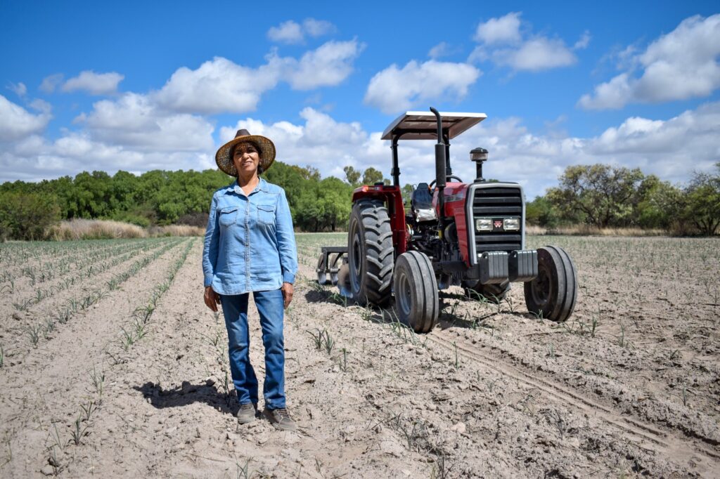 WhatsApp Image 2023-11-30 at 16.46.40