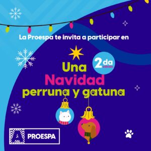 WhatsApp Image 2023-12-01 at 1.44.51 PM (1)