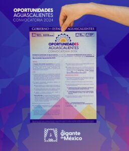 WhatsApp Image 2024-01-30 at 18.49.37