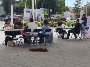 WhatsApp Image 2024-03-10 at 9.34.59 AM (1)