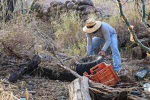 descacharrización en la comunidad de Los Patos