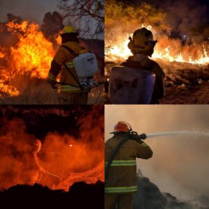 PROTECCIÓN CIVIL DE JESÚS MARÍA, EMITE RECOMENDACIONES PARA EVITAR INCENDIOS FORESTALES