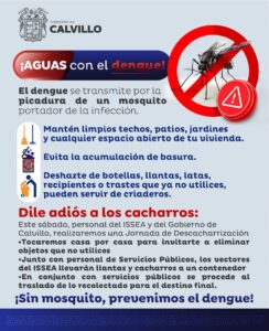 Participa y dile adiós a los cacharros