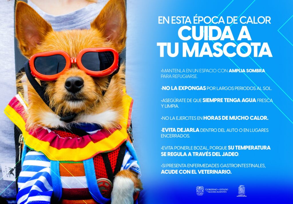 WhatsApp Image 2024-05-17 at 1.19.33 PM (3) (1)