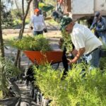 “MANOS UNIDAS POR UN AGUASCALIENTES VERDE: GOBIERNO DEL ESTADO Y GRUPO MÉXICO PLANTAN FUTURO CON ‘ÁRBOLES FUERTES, DEJANDO HUELLAS GIGANTES’”