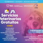 “AGUASCALIENTES ACERCA SERVICIOS VETERINARIOS GRATUITOS A COSÍO PARA IMPULSAR EL CUIDADO ANIMAL”