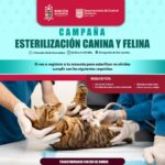 «ARRANCA CAMPAÑA DE ESTERILIZACIÓN CANINA Y FELINA EN LA COMUNIDAD DE SAN JACINTO, RINCÓN DE ROMOS»