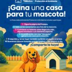 “GOBIERNO DEL ESTADO Y LA PROESPA LANZAN CONCURSO PARA REGALARLE UNA CASITA A TU MASCOTA”