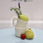 «CERÁMICA VIVA LLEGA A AGUASCALIENTES COMO UNA CELEBRACIÓN DEL ARTE QUE TRANSFORMA LO COTIDIANO»