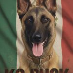 “AGUASCALIENTES FORTALECE SU SEGURIDAD CON LA INCORPORACIÓN DE PUCK, NUEVA AGENTE K9 ESPECIALISTA EN EXPLOSIVOS”
