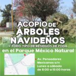 “MUNICIPIO DE AGUASCALIENTES IMPULSA EL MANEJO RESPONSABLE DE RESIDUOS CON CENTRO DE ACOPIO PARA ÁRBOLES NAVIDEÑOS Y PODA”