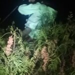 “EN MENOS DE 72 HORAS, POLICÍAS MUNICIPALES, ESTATALES Y GUARDIA NACIONAL ACTÚAN TRAS ALLANAMIENTOS EN PARQUE FLYS”