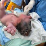 “AGUASCALIENTES RECIBE A LA PRIMERA BEBÉ DEL 2026 BAJO CUIDADO DEL IMSS”