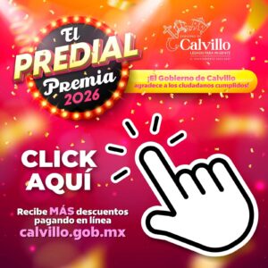 WhatsApp Image 2026-01-03 at 12.46.58