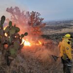 “AVANZA LIQUIDACIÓN DEL INCENDIO FORESTAL EN EL CERRO DEL PICACHO Y REFUERZAN OPERATIVO HASTA SU EXTINCIÓN TOTAL”