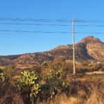 “LIQUIDAN INCENDIO EN EL CERRO DEL MUERTO TRAS INTENSA LABOR INTERINSTITUCIONAL”