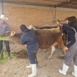“MUNICIPIO DE AGUASCALIENTES PONE EN MARCHA CLÍNICA VETERINARIA AMBULATORIA PARA PROTEGER AL GANADO”