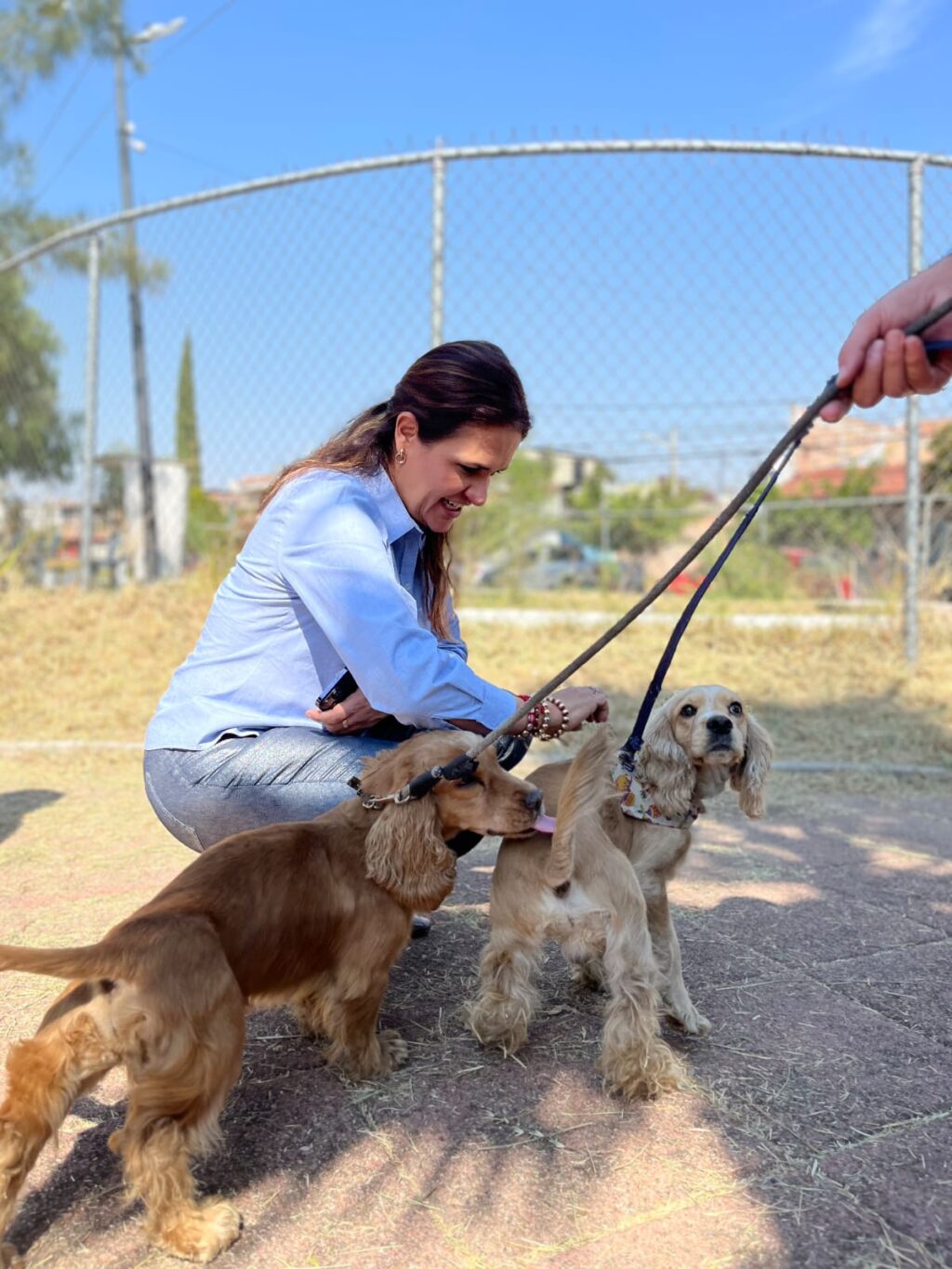 WhatsApp Image 2026-03-19 at 18.04.45