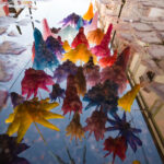 “MILLONES DISFRUTARÁN UN JARDÍN BOTÁNICO AÉREO QUE TRANSFORMARÁ CARRANZA EN LA FNSM 2026”