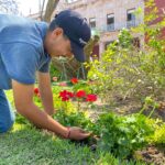 “AGUASCALIENTES RENUEVA SU IMAGEN URBANA CON 300 NUEVAS PLANTAS EN PLAZA DE LA PATRIA”