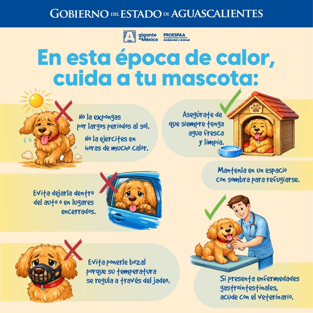 WhatsApp Image 2026-04-22 at 12.30.29