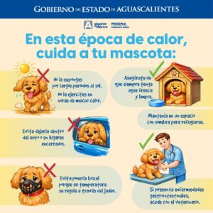 WhatsApp Image 2026-04-22 at 12.30.29