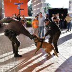 “EXHIBICIONES DEL GRUPO K-9 SE INTEGRAN A LA FERIA DE SAN MARCOS PARA ACERCAR LA LABOR POLICIAL A LA CIUDADANÍA”