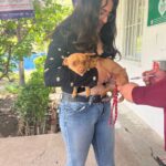 “AGUASCALIENTES ARRANCARÁ MEGA CAMPAÑA GRATUITA PARA VACUNAR A 250 MIL PERROS Y GATOS”