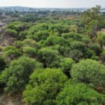 “LA PONA SERÁ RESGUARDADA COMO PULMÓN NATURAL PARA LAS FAMILIAS DE AGUASCALIENTES”