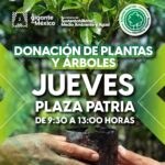 “REGALARÁN 4 MIL ÁRBOLES Y PLANTAS PARA TRANSFORMAR A AGUASCALIENTES EN UN ESTADO MÁS VERDE”
