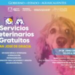 “SAN JOSÉ DE GRACIA ACERCARÁ ATENCIÓN ANIMAL SIN COSTO CON JORNADA ESPECIAL PARA PERROS Y GATOS”