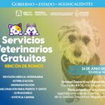 «RINCÓN DE ROMOS RECIBIRÁ JORNADA GRATUITA DE SERVICIOS VETERINARIOS PARA PERROS Y GATOS ESTE 26 DE JUNIO»
