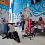 «OBAMA LLEVA SONRISAS Y ESPERANZA A NIÑAS Y NIÑOS EN TRATAMIENTO CONTRA EL CÁNCER EN EL HOSPITAL HIDALGO»