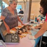 «CARAVANA DE SALUD ANIMAL BENEFICIA A CIENTOS DE MASCOTAS EN RINCÓN DE ROMOS»
