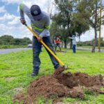«EL MUNICIPIO DE AGUASCALIENTES REALIZA REFORESTACIÓN MASIVA CON LA PLANTACIÓN DE ÁRBOLES CONMEMORANDO EL DÍA MUNDIAL DEL ÁRBOL»