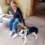 «MUNICIPIO E ISSEA LLEVAN JORNADAS GRATUITAS DE ESTERILIZACIÓN A OLIVARES SANTANA Y MONTORO»