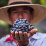 “VINO, BRASAS Y BARRICAS MARCARÁN LA VENDIMIA DE VINÍCOLA EL SECRETO ESTE 25 Y 26 DE JULIO”