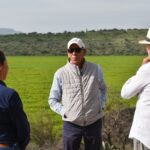 «AUTORIDADES CERRAN FILAS PARA FRENAR EL LIRIO ACUÁTICO QUE AMENAZA LA PRESA ABELARDO L. RODRÍGUEZ»