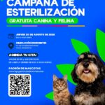 “ABREN 40 ESPACIOS PARA ESTERILIZAR GRATIS A PERROS Y GATOS EN EL FRACCIONAMIENTO INSURGENTES”
