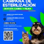 “ESTERILIZACIÓN GRATUITA PARA 40 PERROS Y GATOS ABRE NUEVA FECHA EN LA PURÍSIMA”
